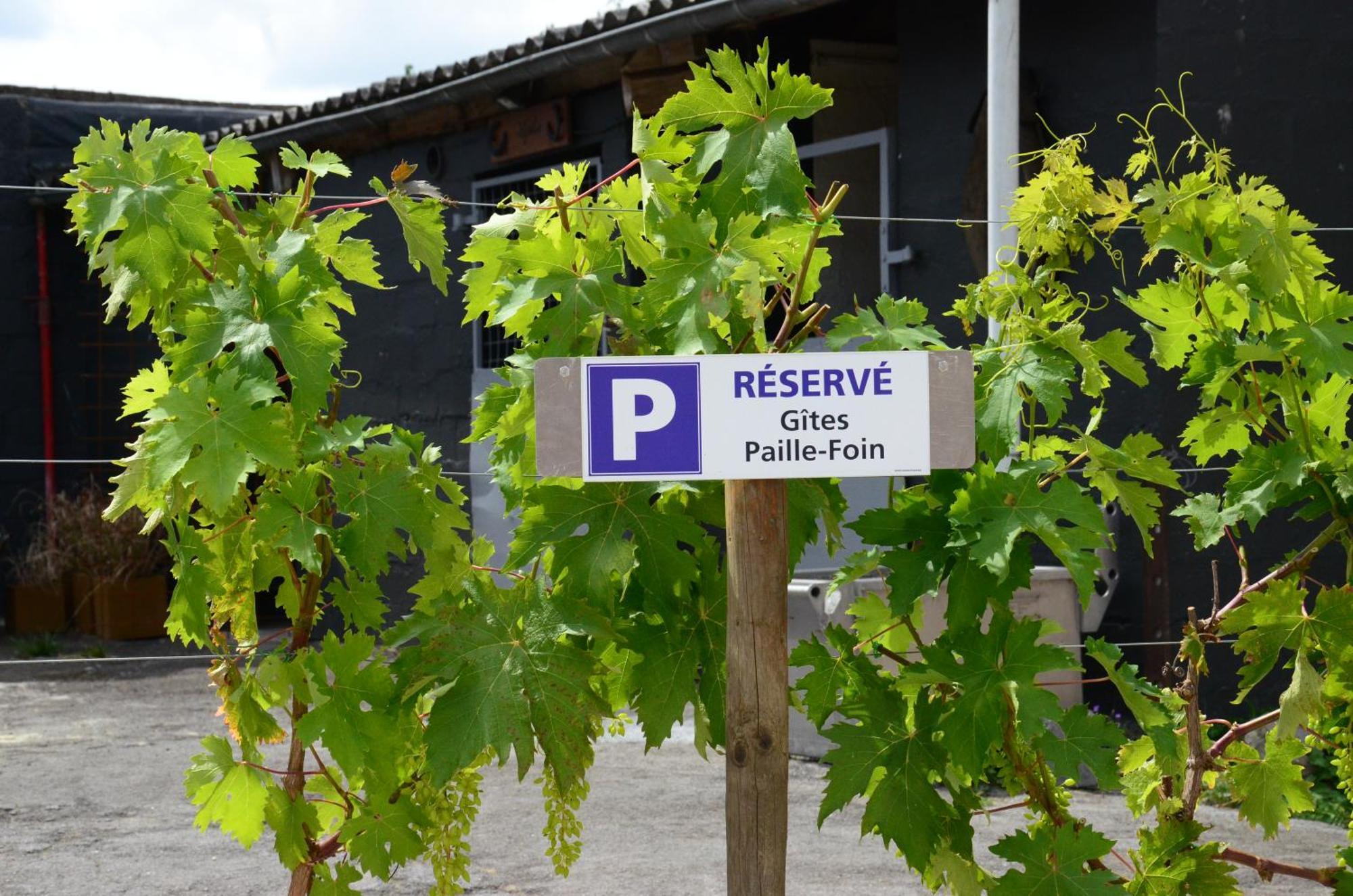 Gites Paille-Foin Cerfontaine Zewnętrze zdjęcie
